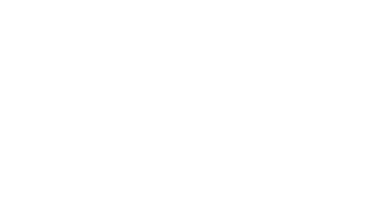 Solution (2)