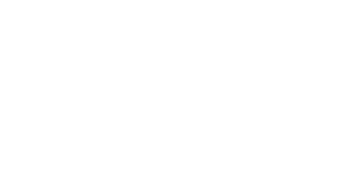 Solution (4)